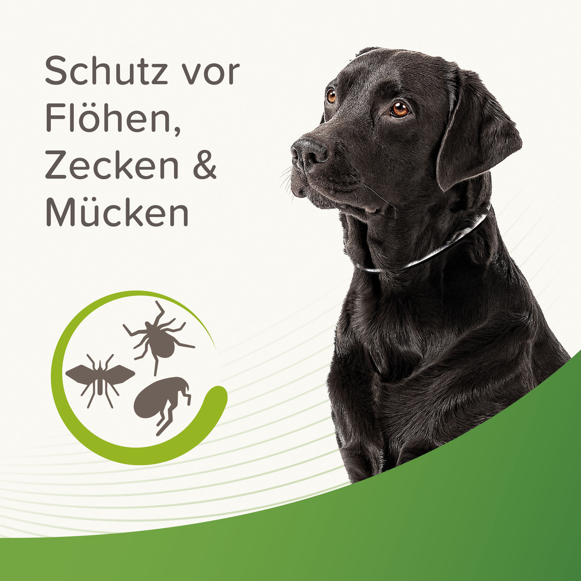 Beaphar Zecken- und Flohschutz Halsband | Länge 65 cm | Reflektierend