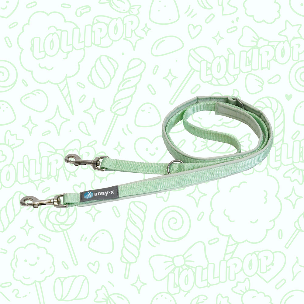 Anny·X Führleine Bolt Fun Lollipop | verstellbare Hundeleine Middle | gepolsterte Leine mit Bolzenkarabiner | Länge 1,75 m x 2,0 cm