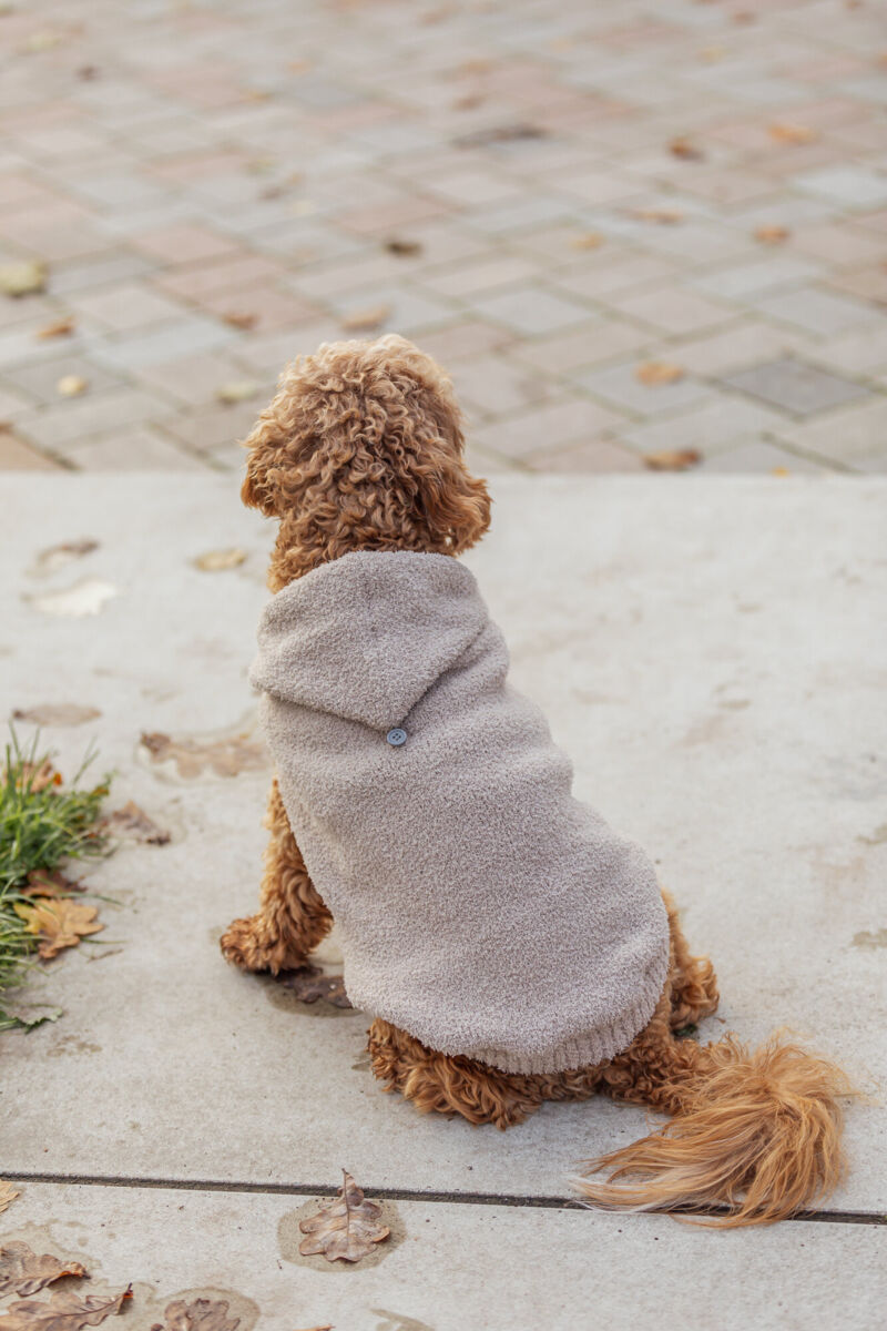 Trixie Hundepulli Hoodie Carson | Stylischer Hundepullover mit Kapuze in Sand | Größe XXS 18 cm Rückenlänge