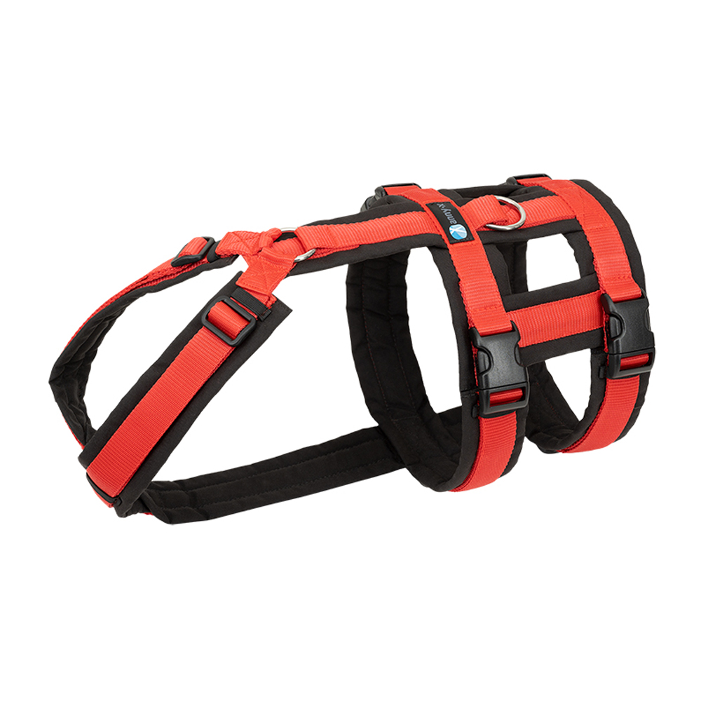Anny-X Brustgeschirr Safety Fun Schwarz-Rot | Ausbruchsicheres Hundegeschirr mit Taillengurt | Größe S (Brustumfang 52 - 64 cm)