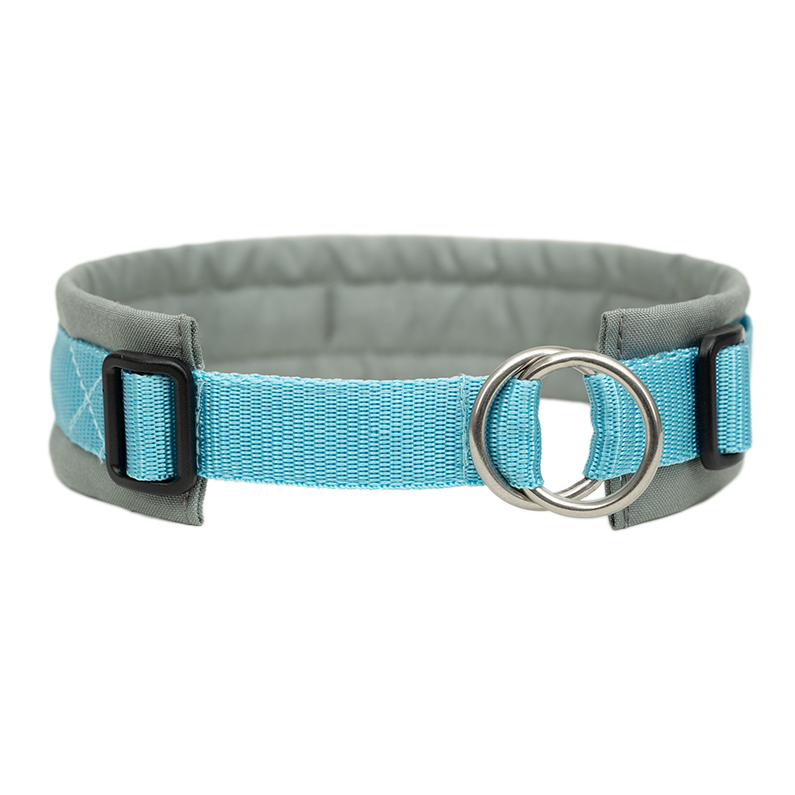 Anny·x Zugstopphalsband Fun Grau-Eisblau | Bequemer Sitz ohne Schliessen | Größe 2 (27-33 cm)
