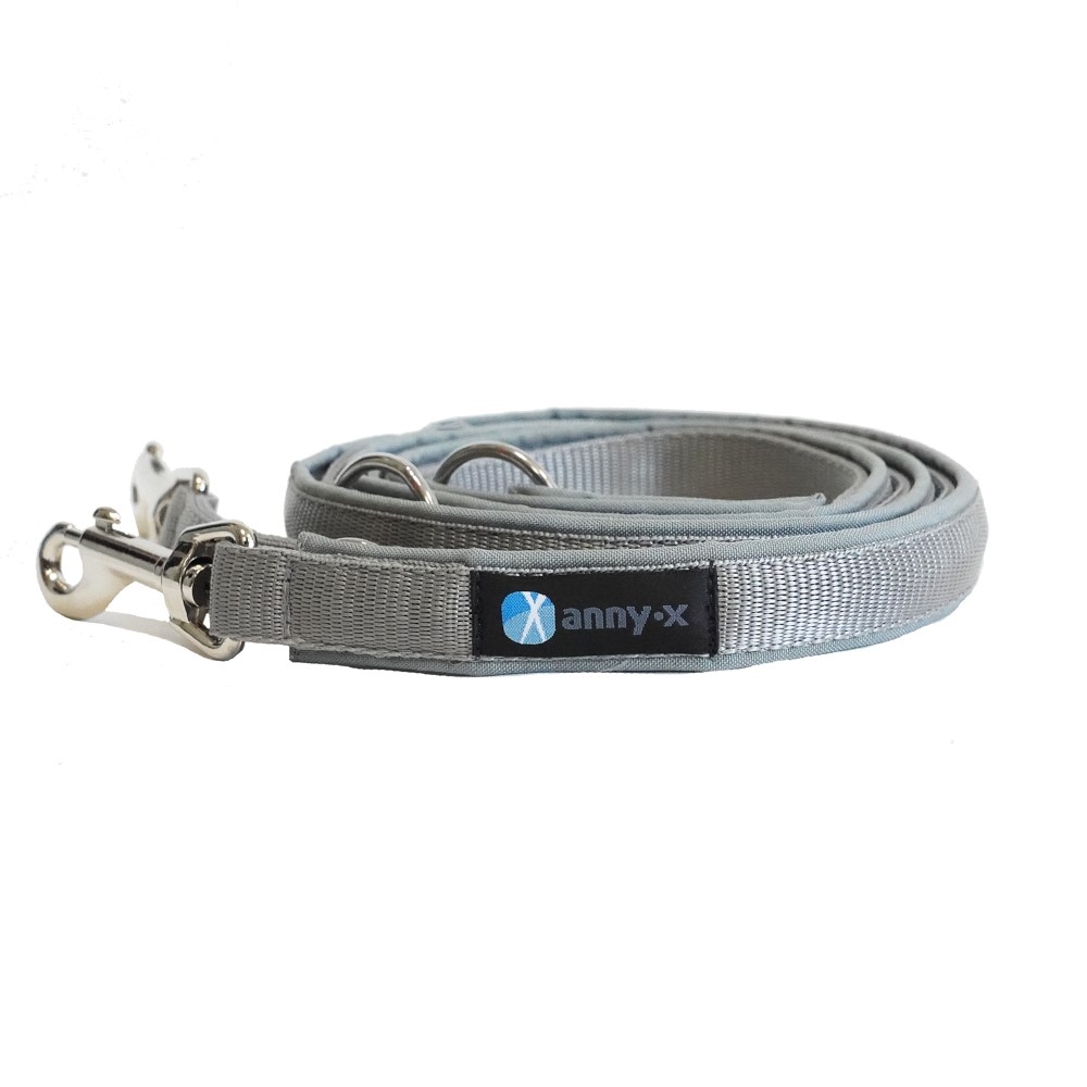 Anny·X Führleine Bolt Fun Grau-Silber| gepolsterte Hundeleine, verstellbare Leine mit Bolzenkarabiner | Größe Classic 3 m x 2,5 cm