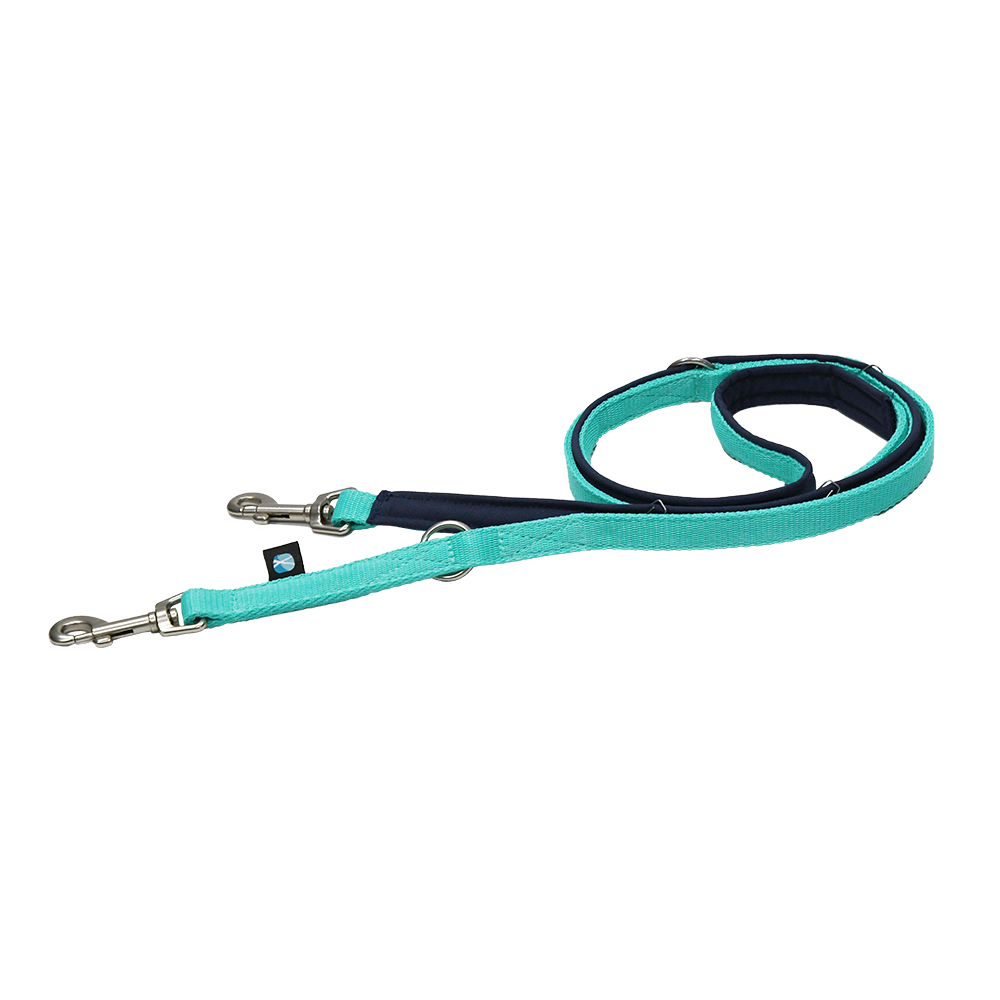 Anny·X Führleine Bolt Fun | verstellbare Hundeleine | gepolsterte Leine mit Bolzenkarabiner | Größe Middle - Farbe Ozean
