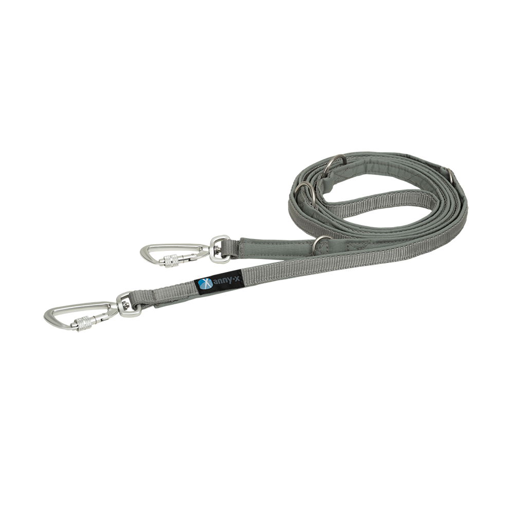 Anny·X Führleine Safety Fun Grau-Silber | 4 fach verstellbare Hundeleine gepolstert | Länge 3 m