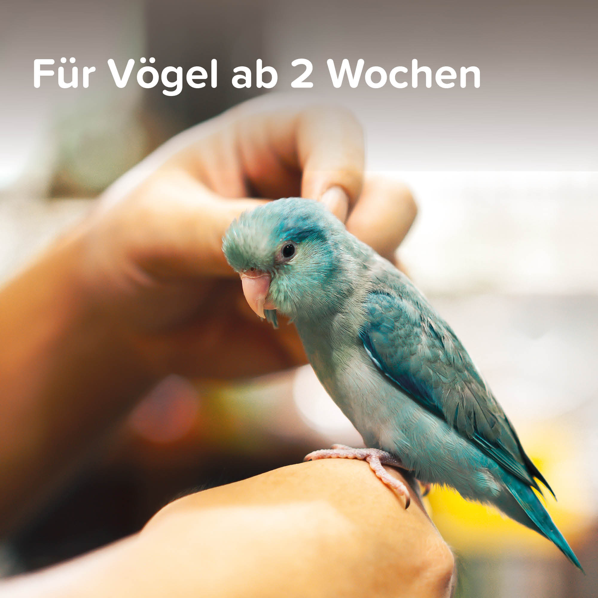 Beaphar VETOplus Milben-Zerstäuber für Vögel | Sofortschutz vor Parasiten | Flasche 100 ml