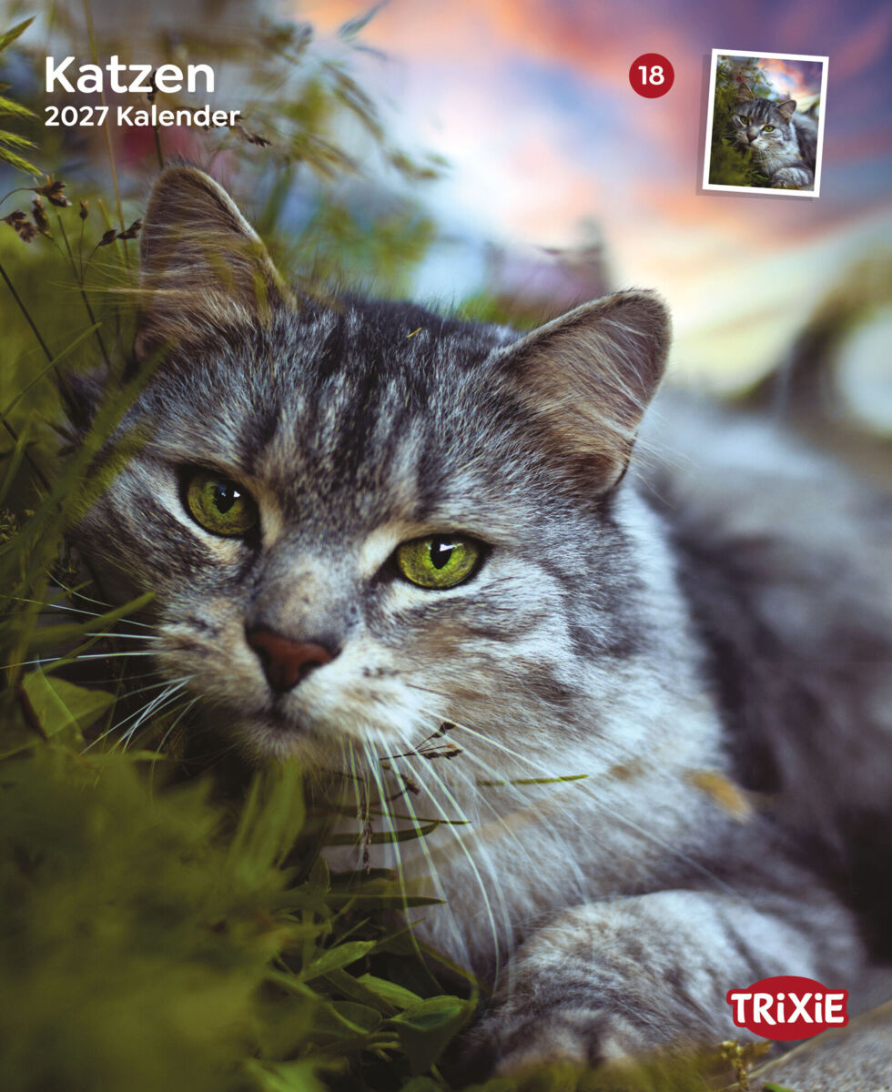 Trixie Motivkalender 2027 | Jahreskalender mit verschiedenen Motive und Themen | Kalender Katzen