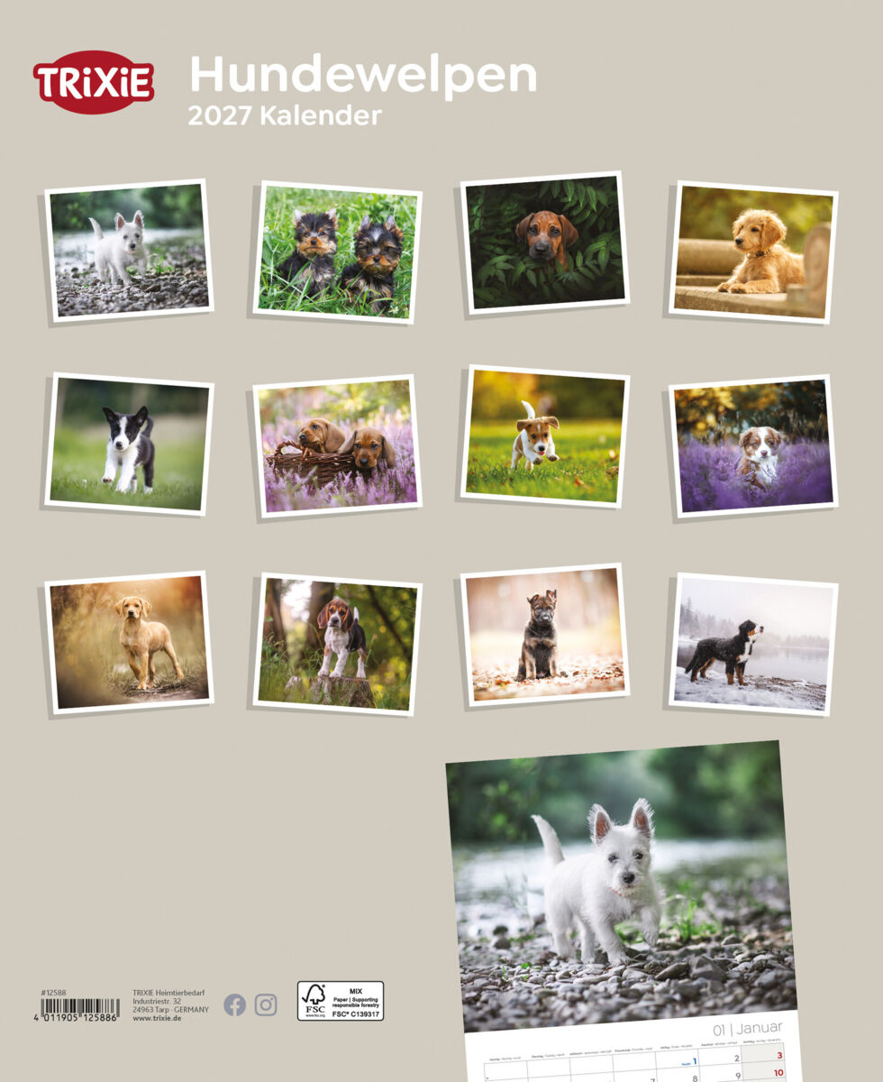 Trixie Motivkalender 2027 | Jahreskalender mit verschiedenen Motive und Themen |  Kalender Hundewelpen