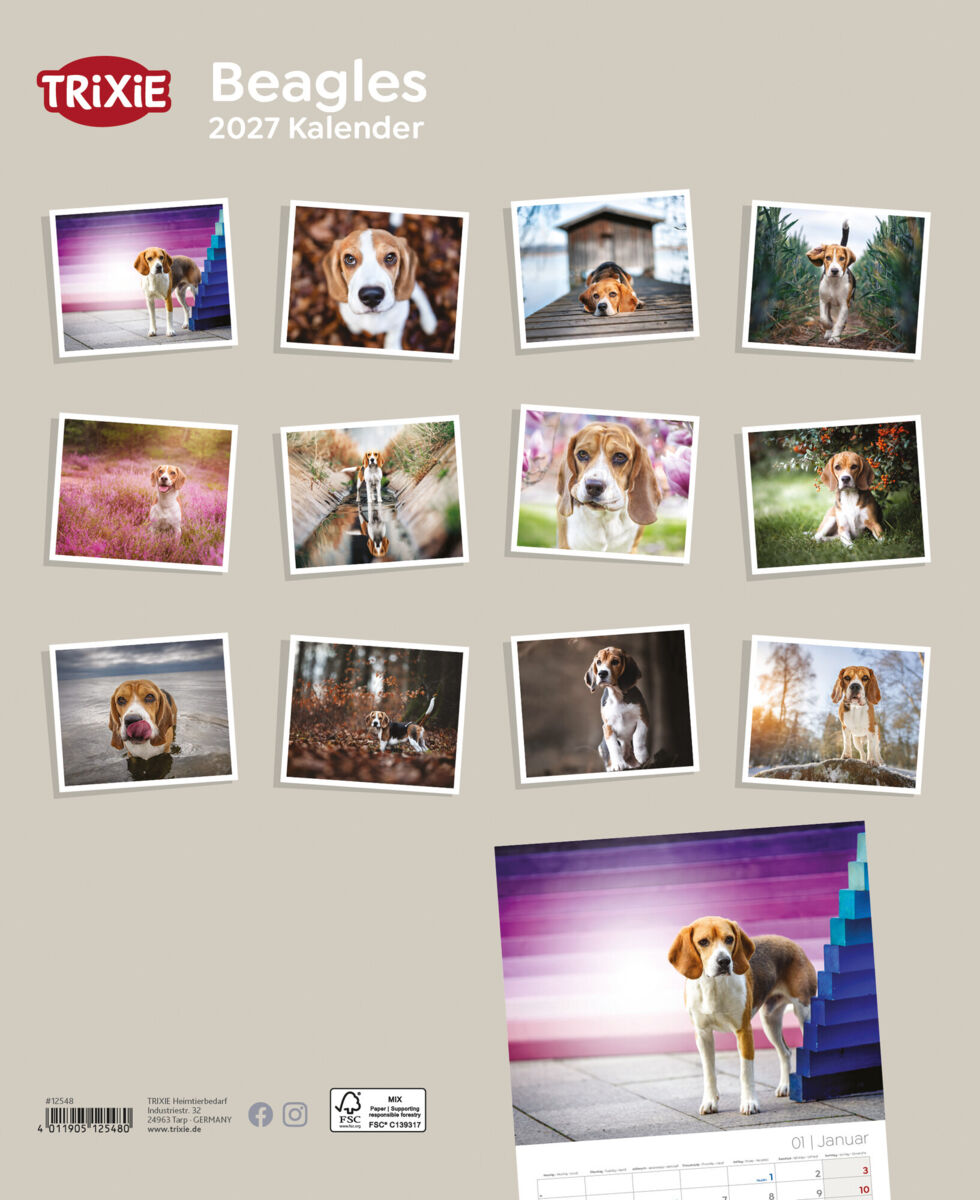 Trixie Motivkalender | Jahreskalender mit verschiedenen Motive und Themen |  Kalender Beagle
