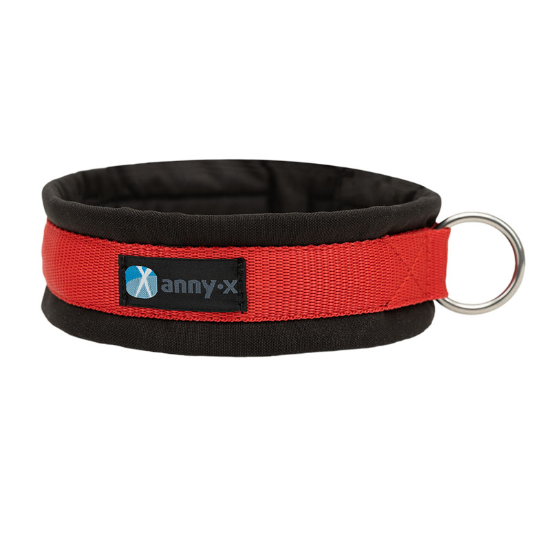 Anny·X Steckhalsband Fun Schwarz-Rot | Gepolstertes Hundehalsband | Größe 2 (27-33 cm)