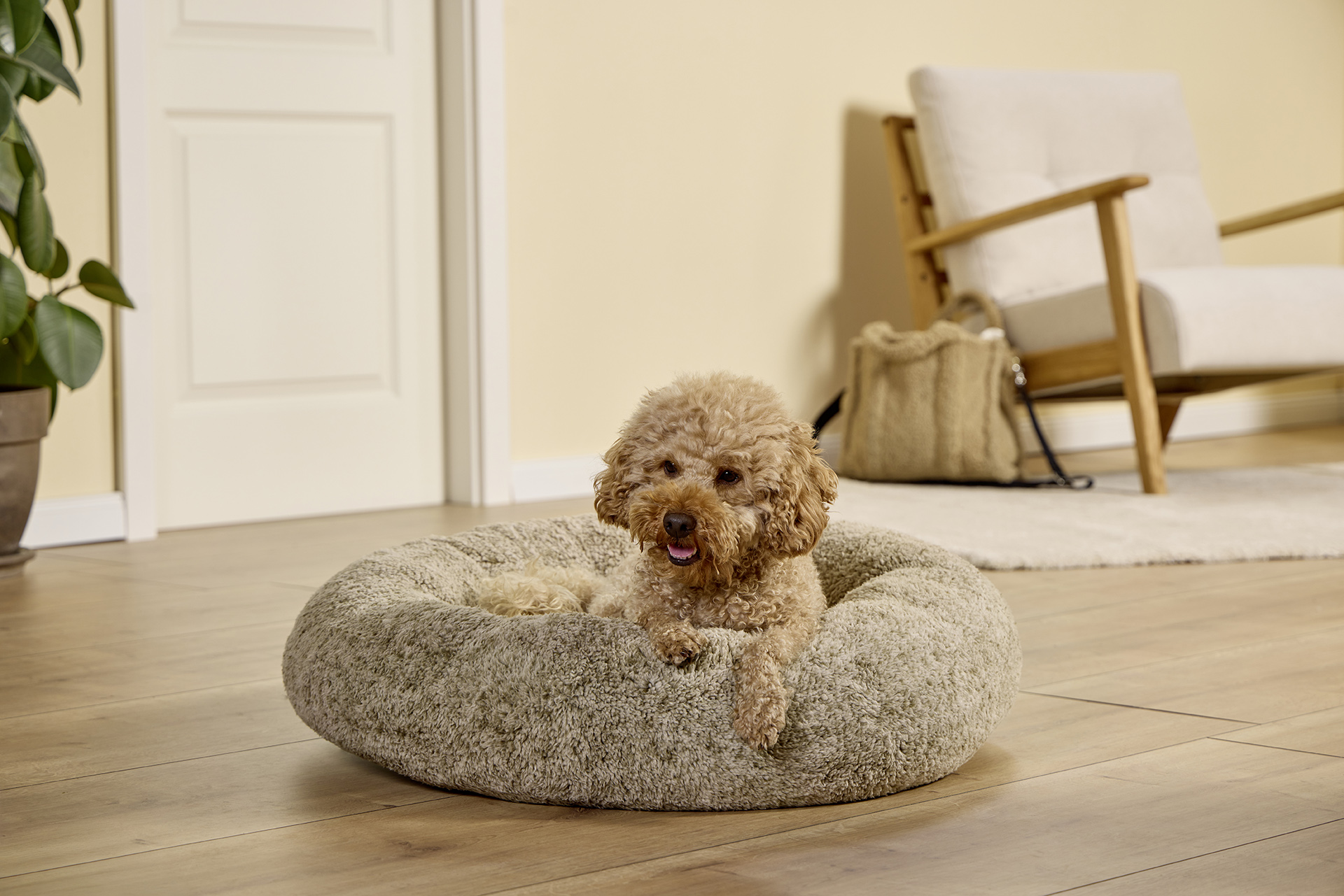 WOLTERS Hundekörbchen Sweet Dreams | Hundebett aus besonders kuscheligem OEKO-TEX® Plüsch | Pistachio - Gr. S (Ø 50 cm x 16 cm)