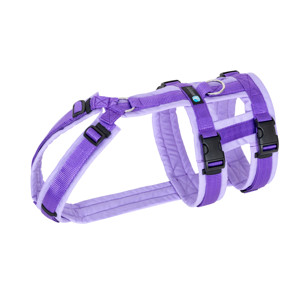 Anny-X Brustgeschirr Safety Fun Lavendel | Ausbruchsicheres Hundegeschirr mit Taillengurt | Größe S (Brustumfang 52 - 64 cm)