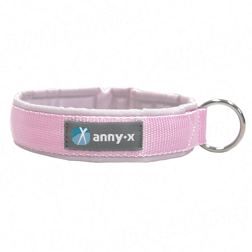 Anny·X Steckhalsband Fun Zuckerwatte | Gepolstertes Hundehalsband | Größe 2 (27-33 cm)