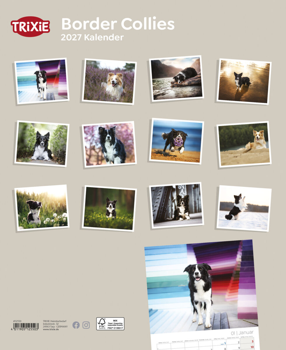 Trixie Motivkalender 2027 | Jahreskalender mit verschiedenen Motive und Themen |  Kalender Border Collies