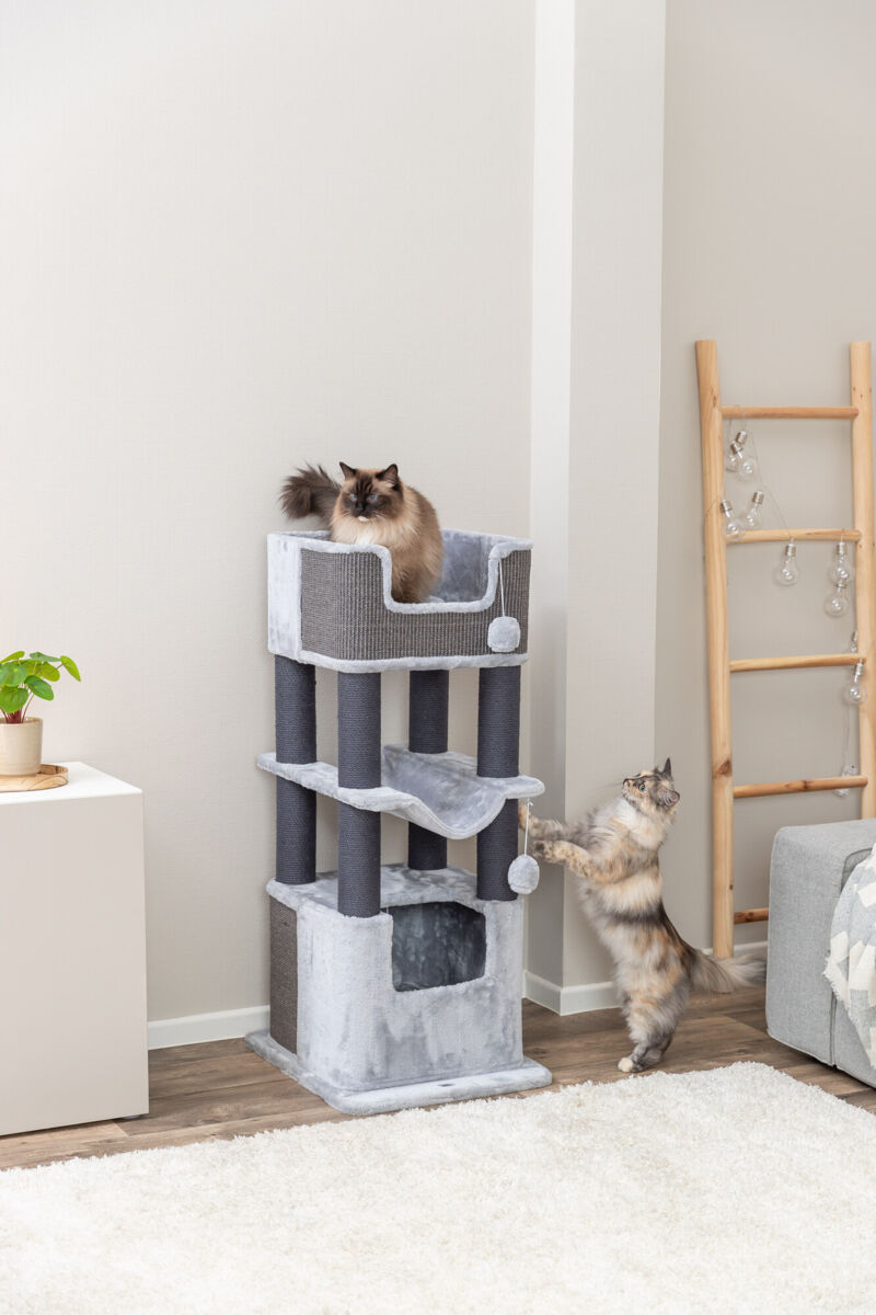 Trixie Kratzbaum XXL Lucano | besonders für große Katzen geeignet | Farbe Grau | Maße 58x48x110 cm