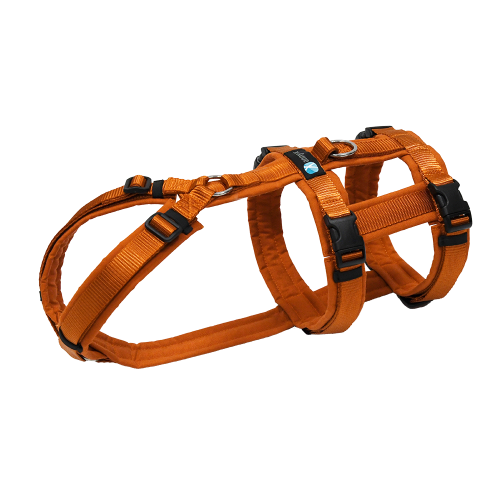 Anny-X Brustgeschirr Safety Fun Ahorn | Ausbruchsicheres Hundegeschirr mit Taillengurt | Größe S (Brustumfang 52 - 64 cm)