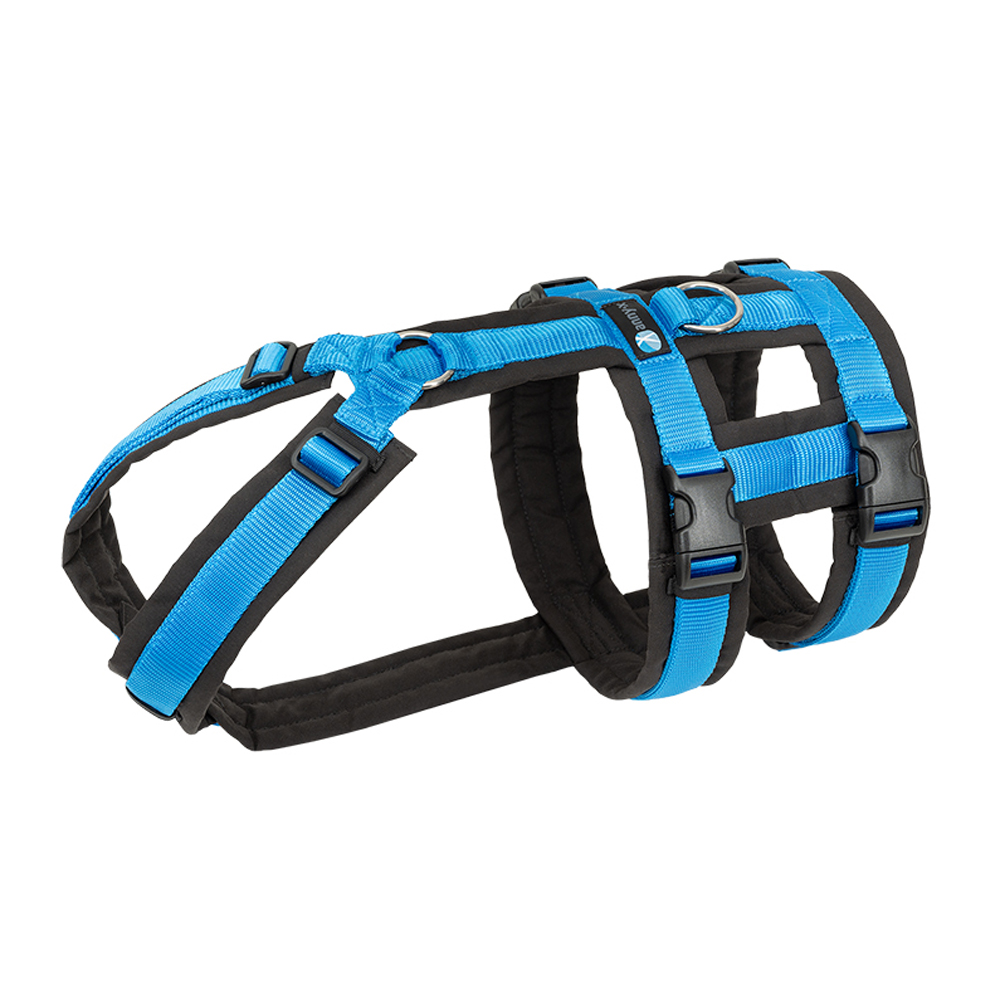 Anny-X Brustgeschirr Safety Fun Schwarz-Blau | Ausbruchsicheres Hundegeschirr mit Taillengurt | Größe S (Brustumfang 52 - 64 cm)