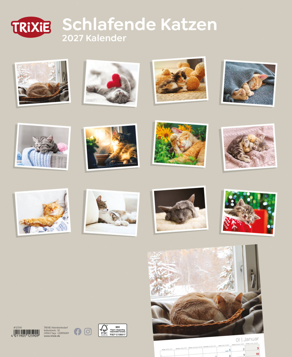 Trixie Motivkalender 2027 | Jahreskalender mit verschiedenen Motive und Themen | Kalender Schlafende Katzen