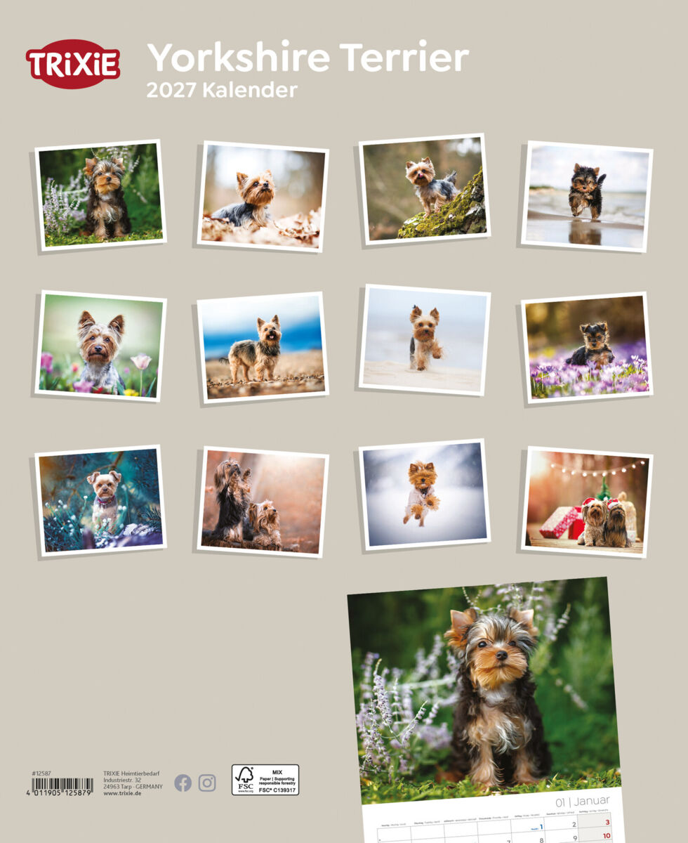 Trixie Motivkalender 2027 | Jahreskalender mit verschiedenen Motive und Themen | Kalender Yorkshire Terrier