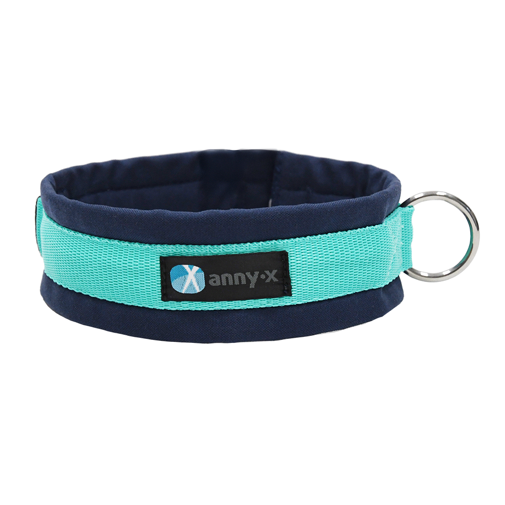 Anny·X Steckhalsband Fun Ozean | Gepolstertes Hundehalsband | Größe 2 (27-33 cm)