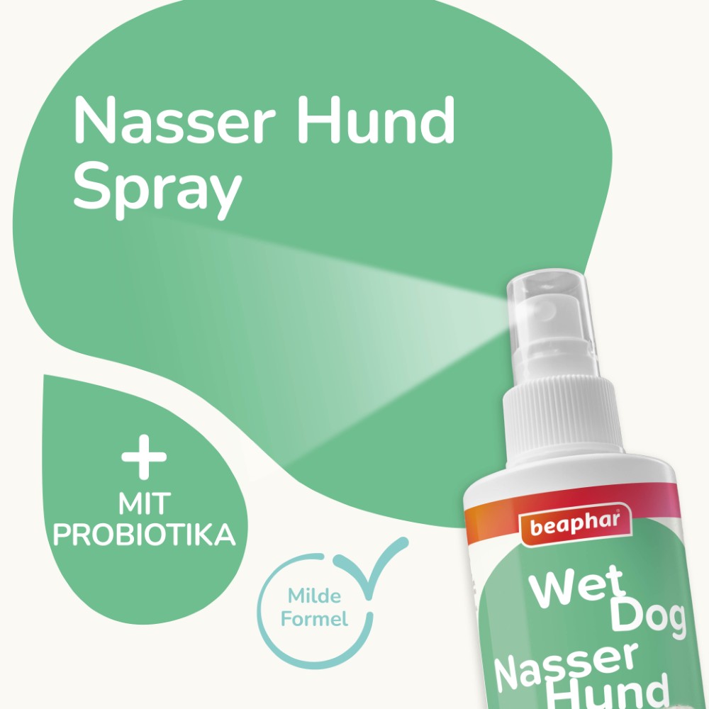 Beaphar Nasser Hund Spray | Fellpflege und Geruchsneutralisier für Hunde | Zerstäuber 250 ml
