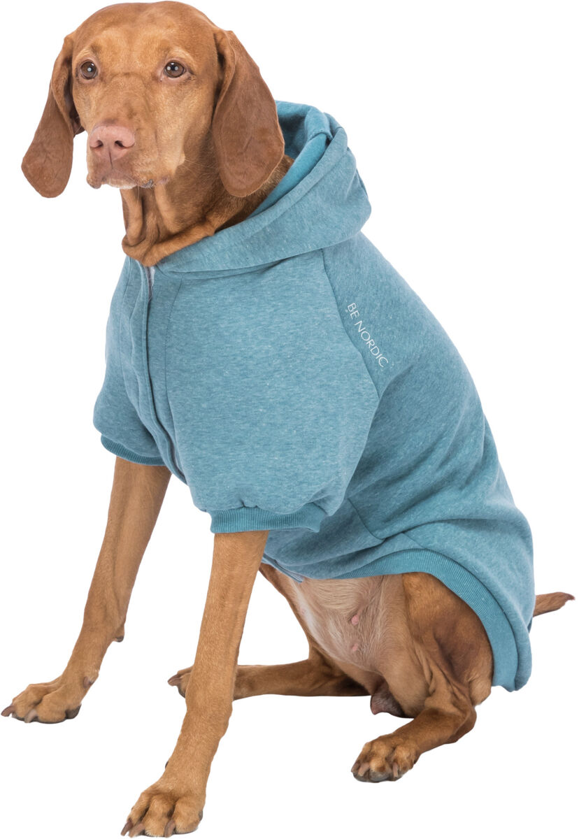 Trixie Hundepulli BE NORDIC Hoodie Flensburg | Hundepullover mit Kapuze | Farbe Petrol - Gr. XS 27 cm Rückenlänge