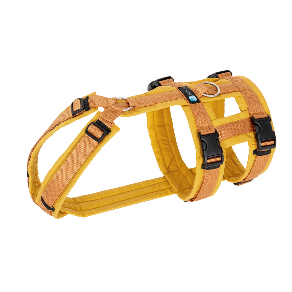 Anny-X Brustgeschirr Safety Fun Goldglöckchen | Ausbruchsicheres Hundegeschirr mit Taillengurt | Größe S (Brustumfang 52 - 64 cm)