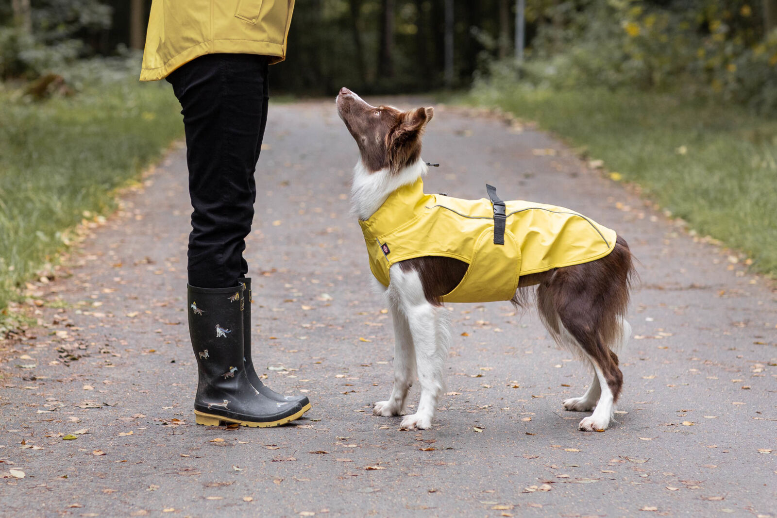 TRIXIE Regenmantel Vimy | Friesennerz für Hunde – Schutz vor Wind und Regen | Farbe Gelb S 40 cm Rückenlänge