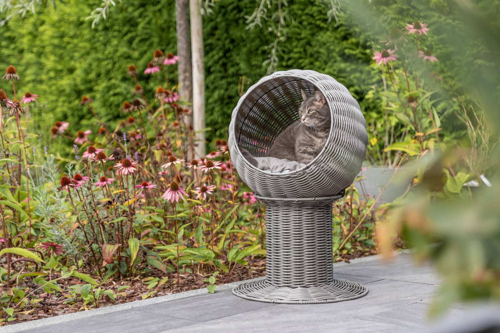Trixie Kuschelhöhle Amalia | Hochsitz für Katzen aus Polyrattan für Außen und Innen | Maße: Ø 42 cm x 70 cm | Farbe Grau