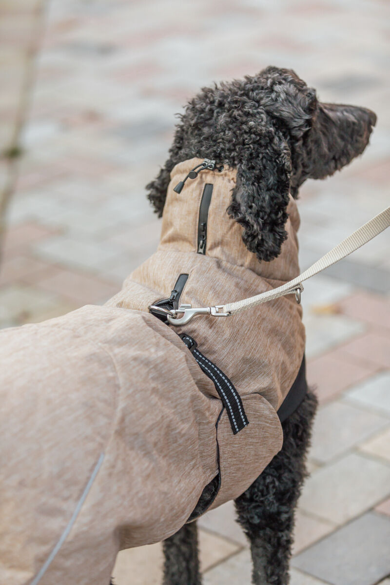TRIXIE Wintermantel Riom | Wintermantel für Hunde – warm, wasserdicht | Farbe Sand | Gr. L 55 cm Rückenlänge