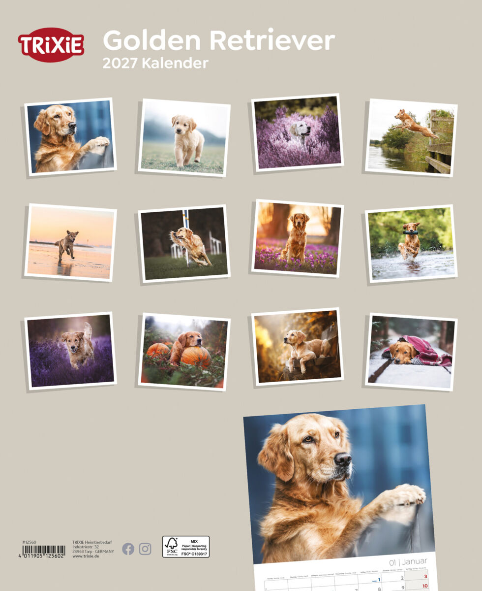 Trixie Motivkalender 2027 | Jahreskalender mit verschiedenen Motive und Themen | Kalender Golden Retriever