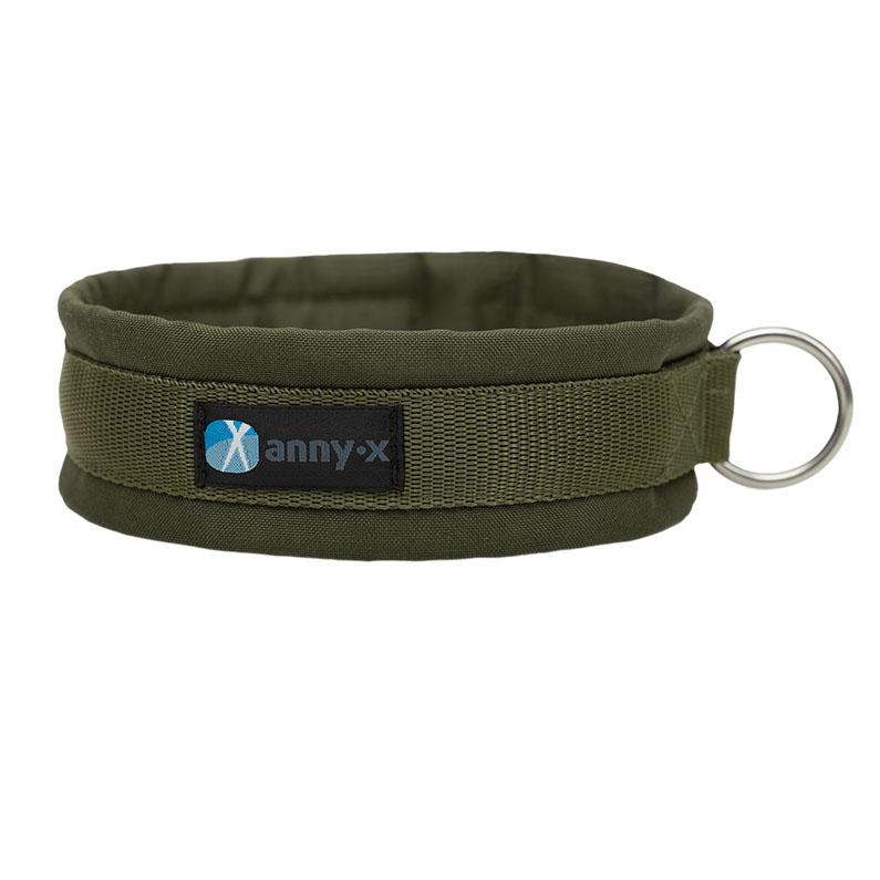 Anny·X Steckhalsband Fun Oliv-Oliv | Gepolstertes Hundehalsband | Größe 2 (27-33 cm)