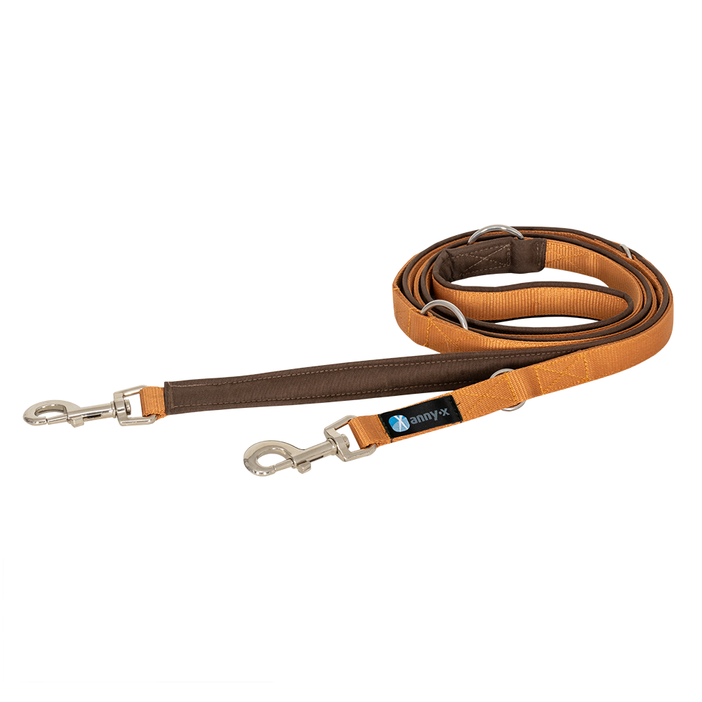 Anny·X Führleine Bolt Fun Braun-Bernstein | gepolsterte Hundeleine, verstellbare Leine mit Bolzenkarabiner | Größe Classic 3 m x 2,5 cm