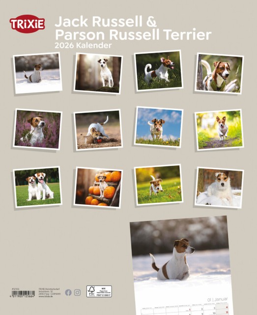 Trixie Motivkalender 2026 | Jahreskalender mit verschiedenen Motive und Themen | Kalender Jack Russell & Parson Russell Terrier