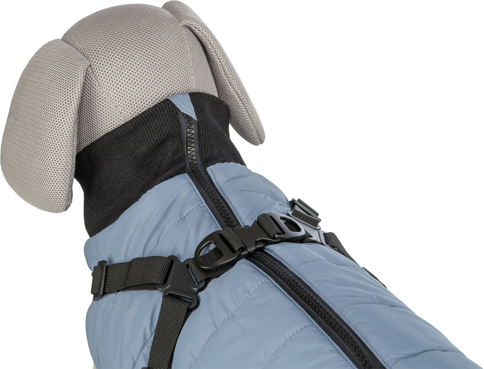 Trixie Wintermantel Pontis | Geschirr-Mantel für Hunde – warm, wasserabweisend | Farbe Graublau - Gr. XS 24 cm Rückenlänge