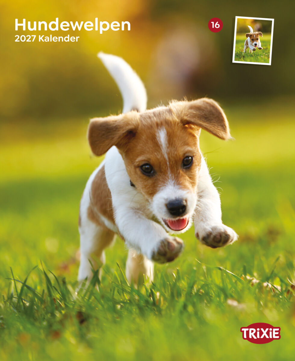 Trixie Motivkalender 2027 | Jahreskalender mit verschiedenen Motive und Themen |  Kalender Hundewelpen