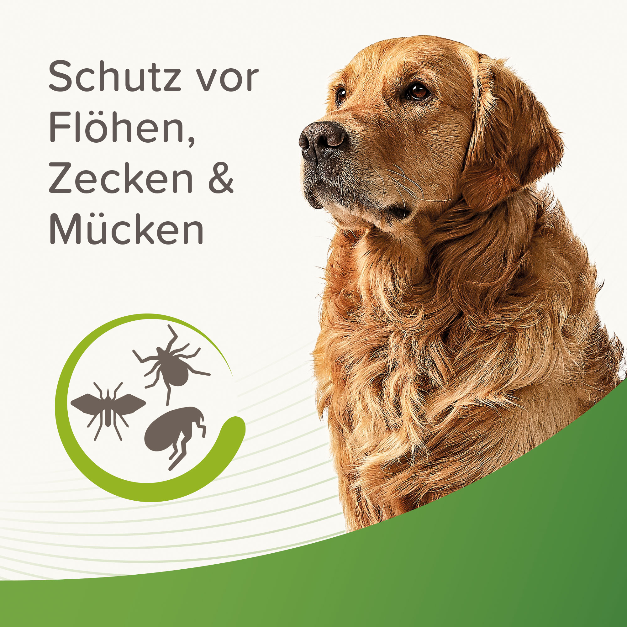 Beaphar Zecken- und Flohschutz Halsband | Länge 65 cm | Farbe Beige