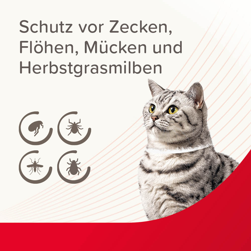 Beaphar VETOplus Parasiten Halsband 35 cm, Weiß | Repellent bis zu 4 Monate lang Schutz vor Ektoparasiten | für alle Katzen