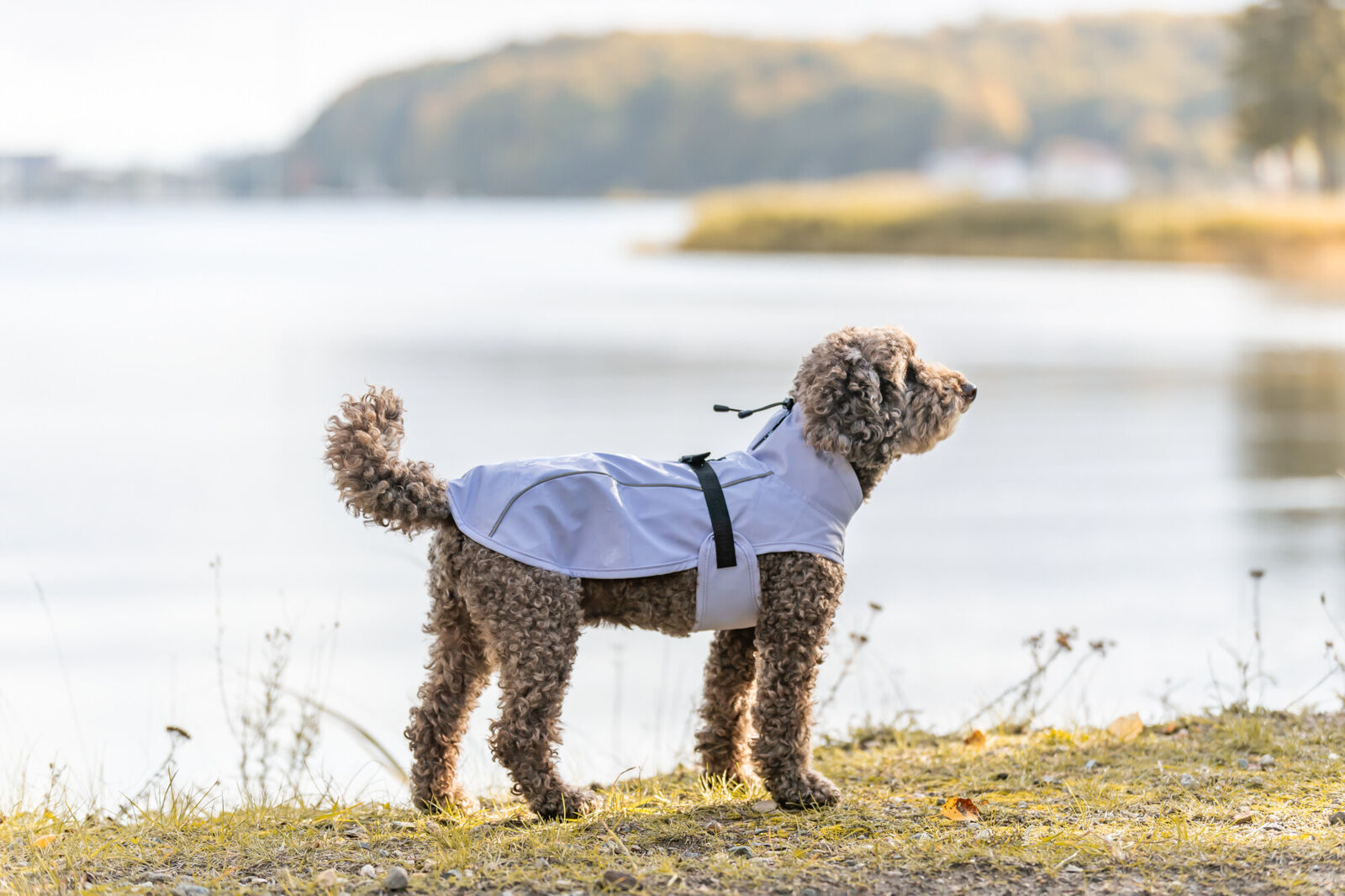 TRIXIE Regenmantel Vimy | Friesennerz für Hunde – Schutz vor Wind und Regen | Farbe Flieder - Gr. S 40 cm Rückenlänge