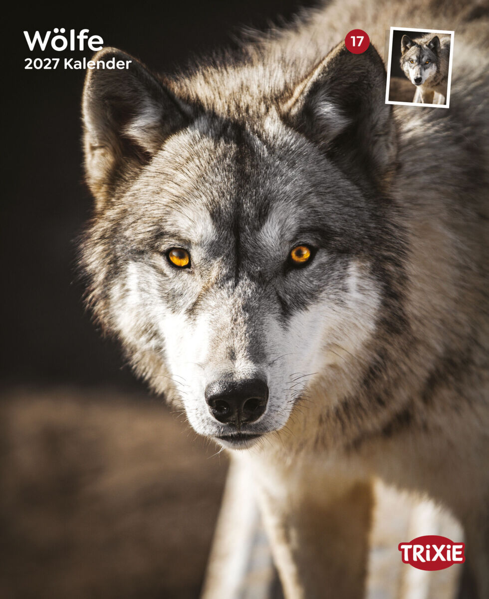 Trixie Motivkalender 2027 | Jahreskalender mit verschiedenen Motive und Themen | Kalender Wölfe