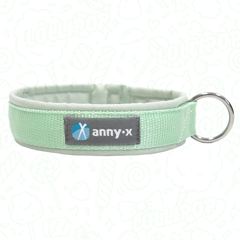 Anny·X Steckhalsband Fun Lollipop | Gepolstertes Hundehalsband | Größe 2 (27-33 cm)
