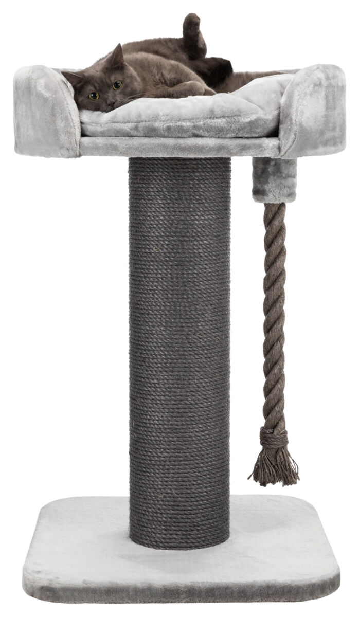 Trixie Kratzbaum XXL Klara | stabiler Katzenkratzbaum mit Kuschelbett | Farbe Grau - Maße 60x60x100 cm