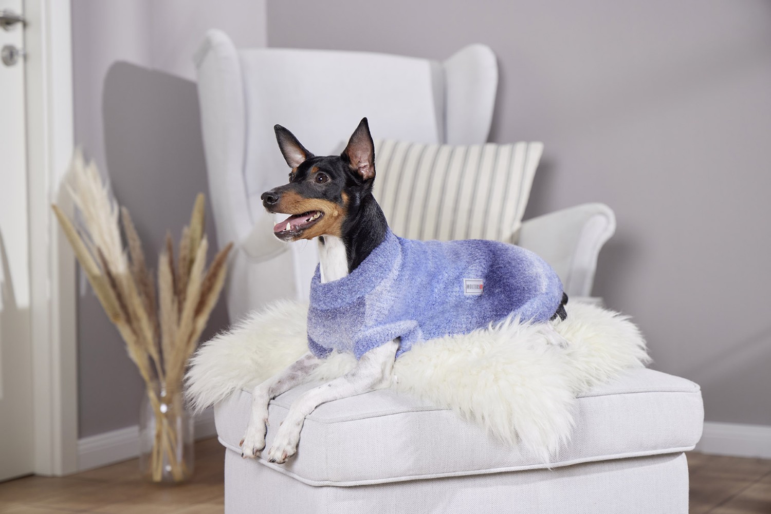 Wolters Strickpullover Sky | Blauer Hundepullover mit Farbverlauf | Gr. 20 (Rückenlänge 19 - 21 cm)