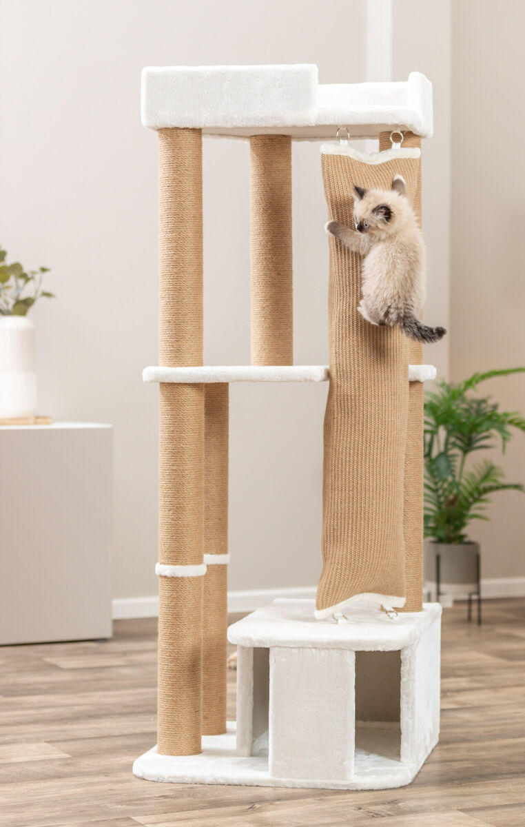 Trixie Kratzbaum Active | Großer Spiel- und Ruheplatz für Ihre Katze | Farbe Beige | Maße 58x58x150 cm