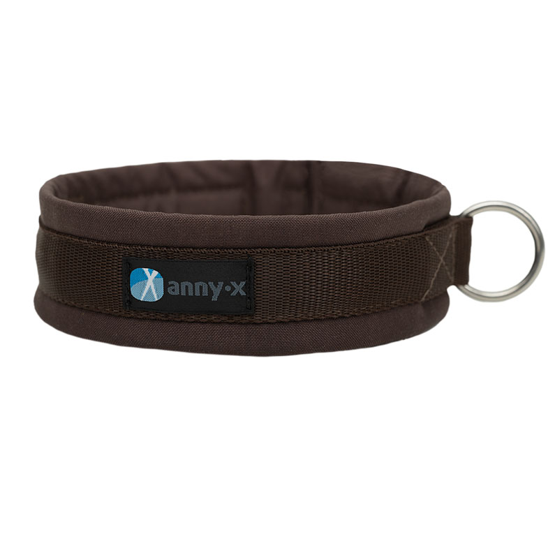 Anny·X Steckhalsband Fun Braun-Braun | Gepolstertes Hundehalsband | Größe 2 (27-33 cm)