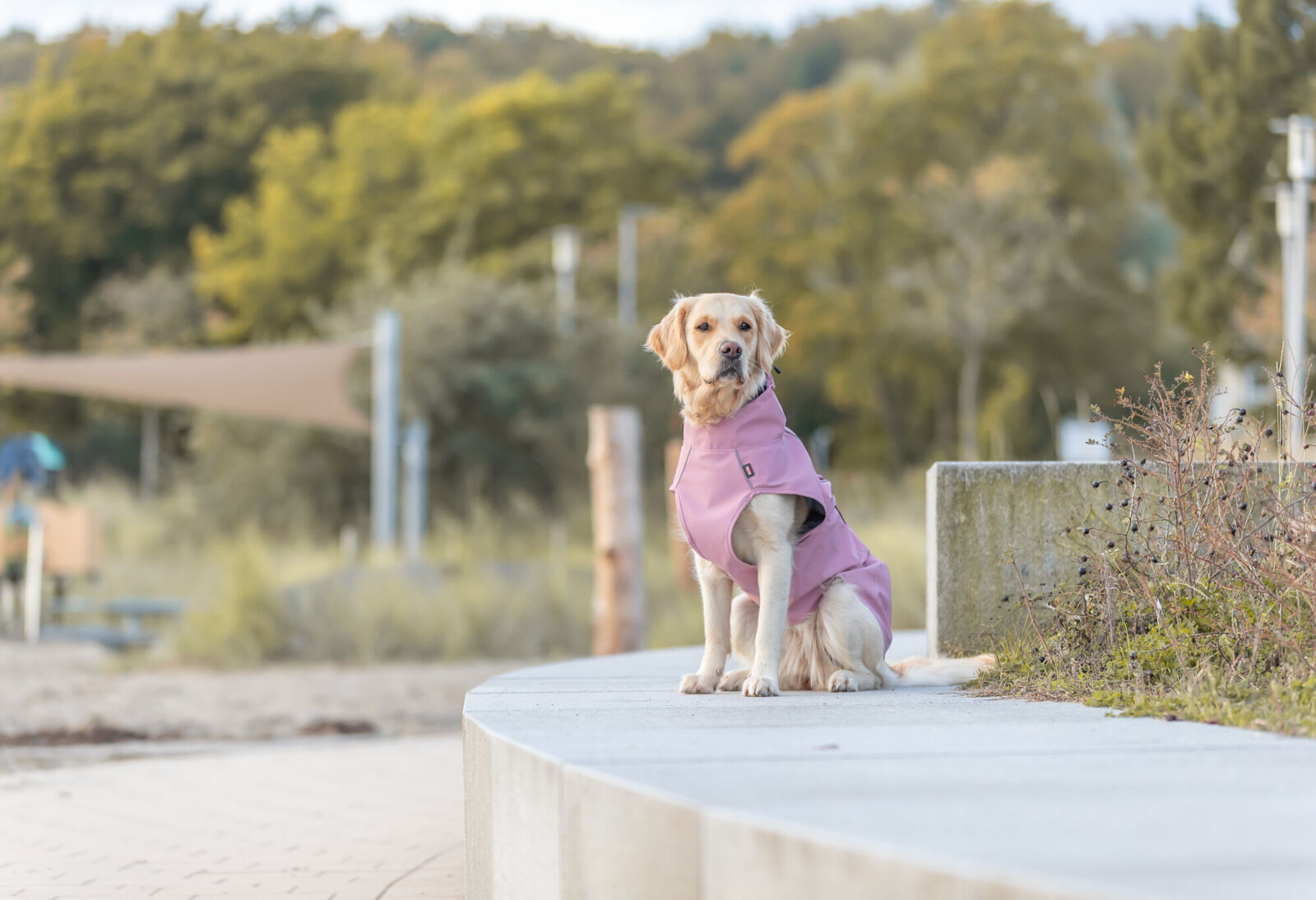 TRIXIE Regenmantel Vimy | Friesennerz für Hunde – Schutz vor Wind und Regen | Farbe Pink - Gr. S 40 cm Rückenlänge