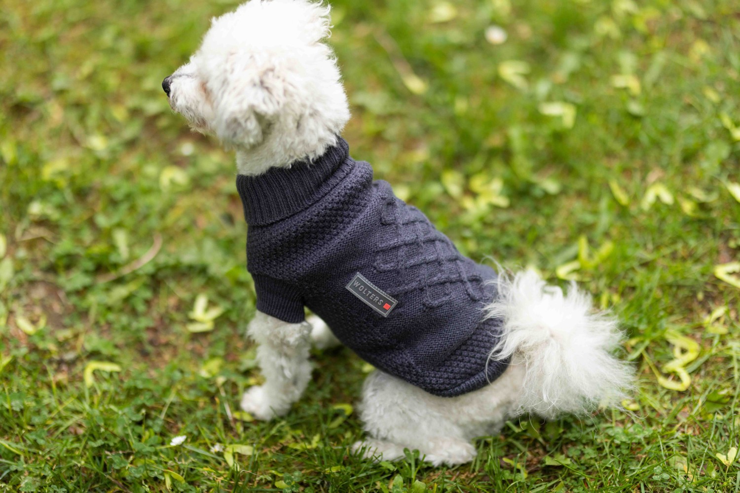 Wolters Strickpullover Tristan Royalblau | Hundepullover Strickmuster mit keltischem Knoten | Gr. 20 (Rückenlänge 19 - 21 cm)