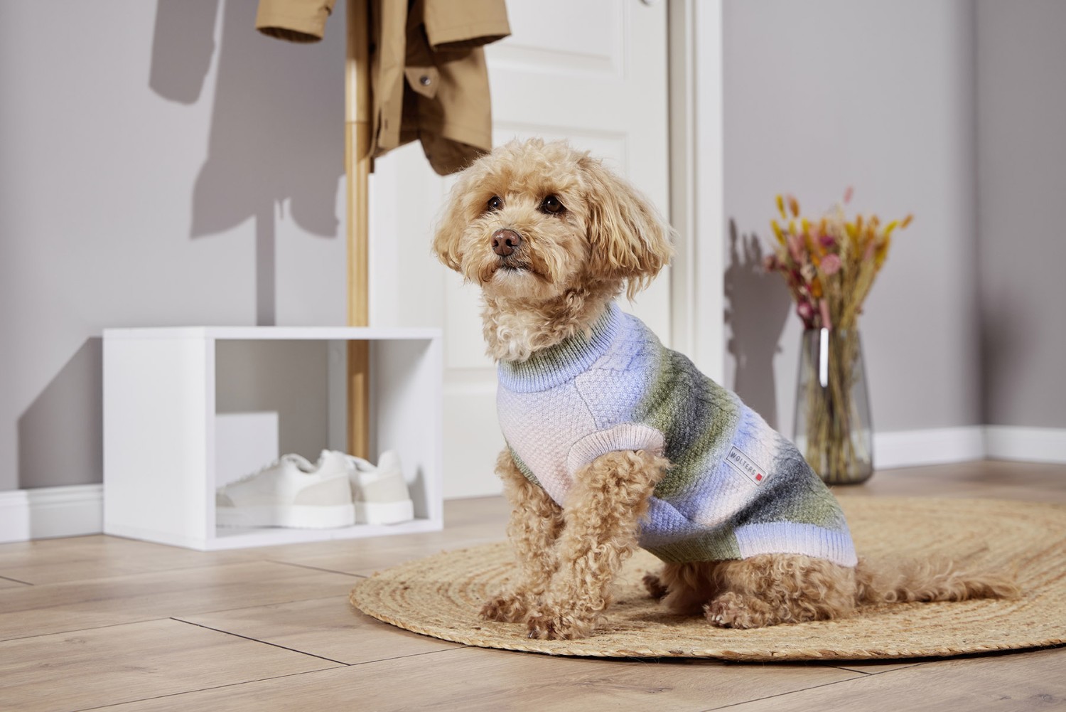 Wolters Strickpullover Marinello | Hundepullover mit Farbverlauf | Gr. 20 (Rückenlänge 19 - 21 cm)