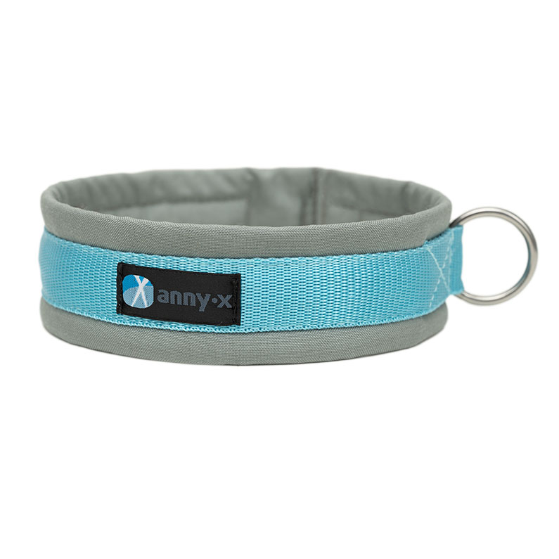 Anny·X Steckhalsband Fun Grau-Eisblau | Gepolstertes Hundehalsband | Größe 2 (27-33 cm)