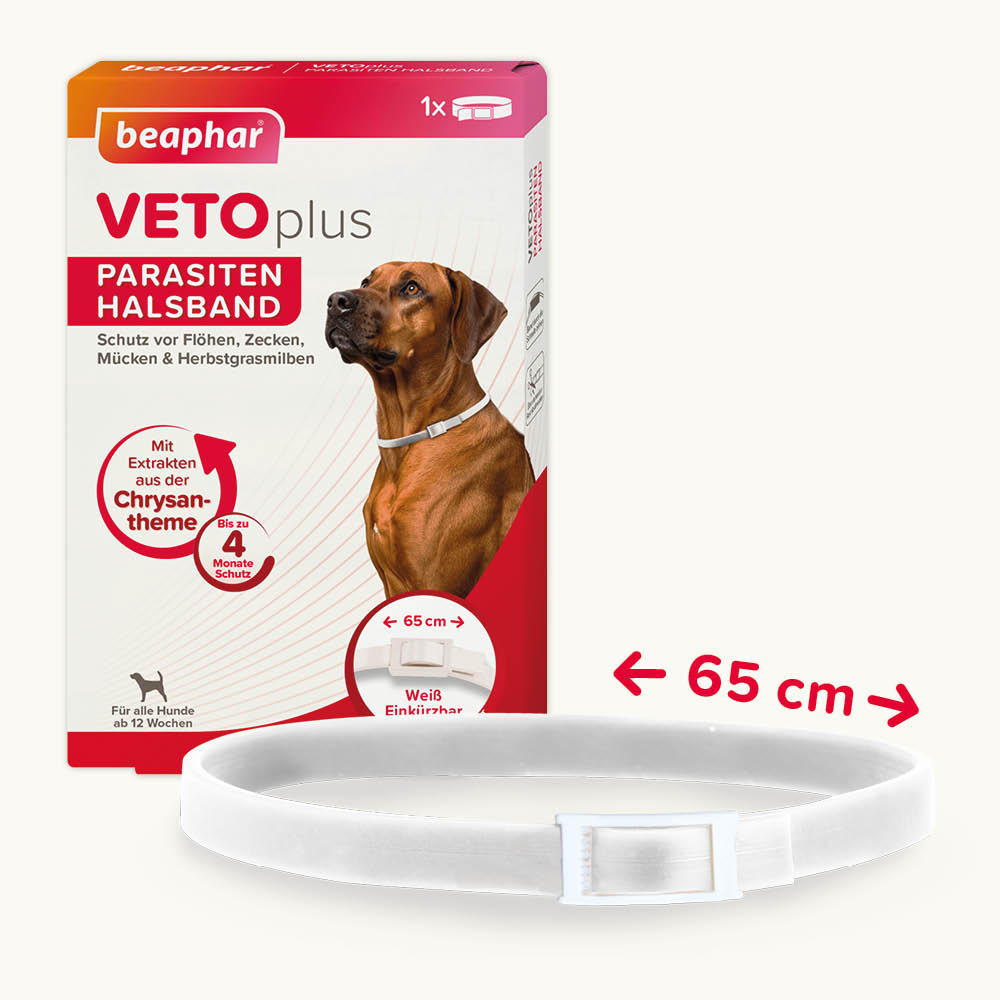 Beaphar VETOplus Parasiten Halsband 65 cm, Weiß | Repellent bis zu 4 Monate lang Schutz vor Ektoparasiten | für kleine bis große Hunde