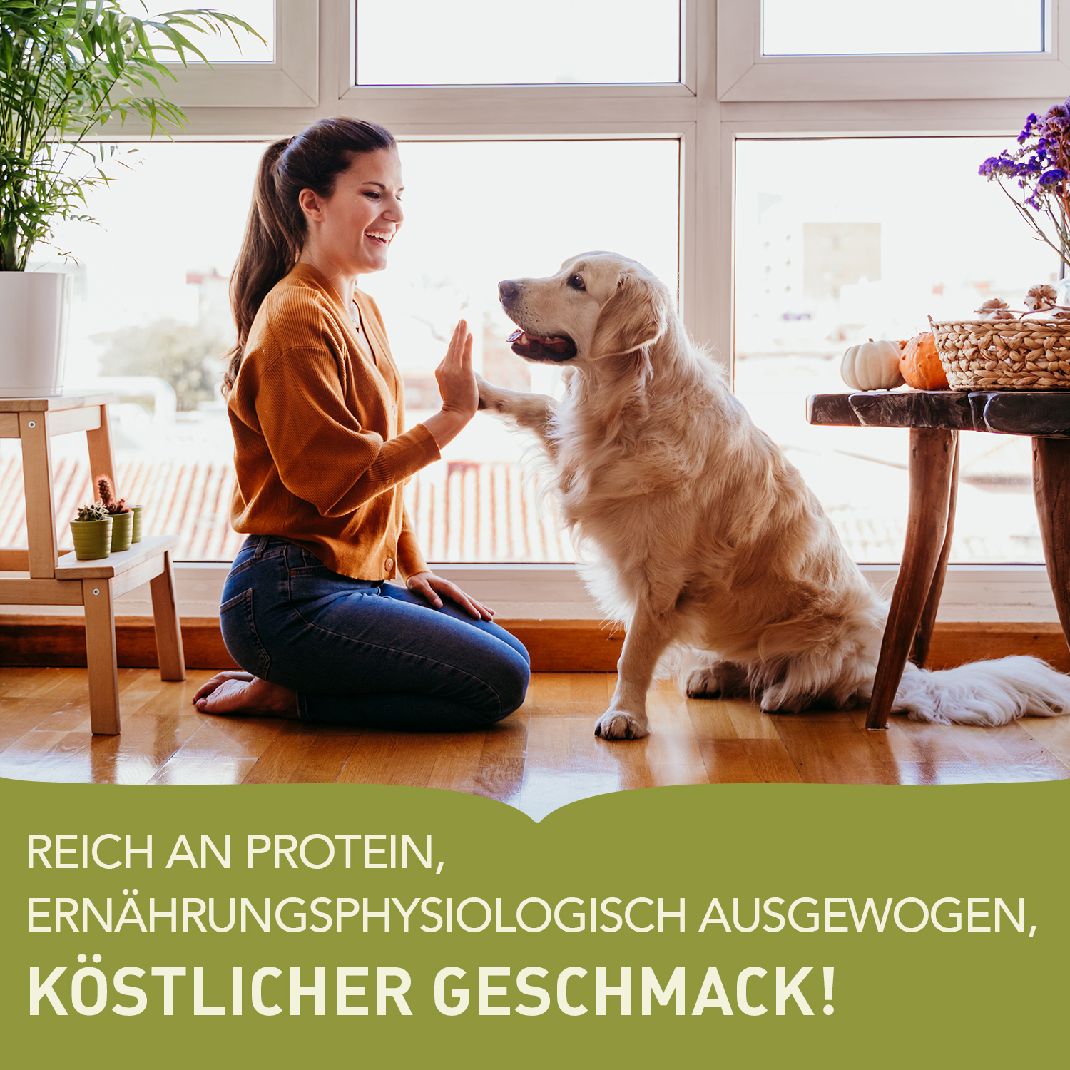 ACANA™ Dog Prairie Poultry | Alleinfuttermittel für ausgewachsene Hunde | 9,7 kg